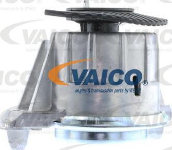 VAICO V30-2198 - Подушка, опора, подвеска двигателя avtokuzovplus.com.ua