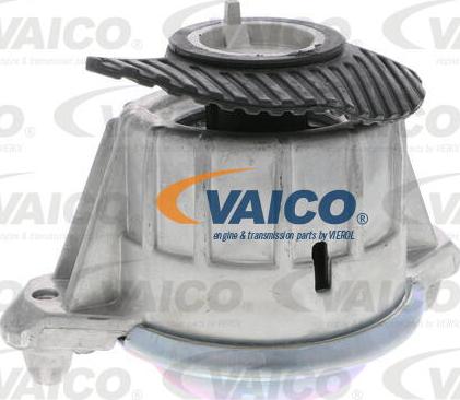VAICO V30-2199 - Подушка, підвіска двигуна autocars.com.ua