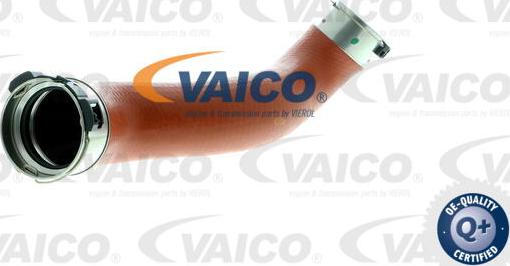 VAICO V30-2238 - Трубка, нагнетание воздуха avtokuzovplus.com.ua