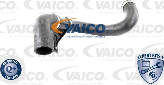 VAICO V30-2420 - Трубка нагнітається повітря autocars.com.ua