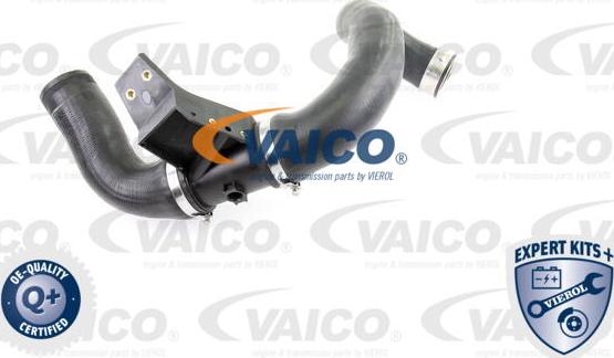VAICO V30-2421 - Трубка нагнітається повітря autocars.com.ua