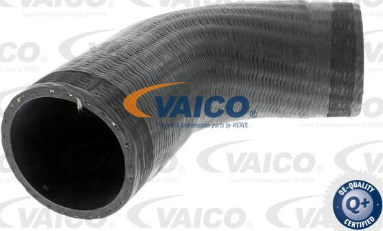 VAICO V30-2451 - Трубка нагнітається повітря autocars.com.ua