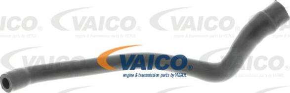 VAICO V30-2536 - Шланг, воздухоотвод крышки головки цилиндра avtokuzovplus.com.ua