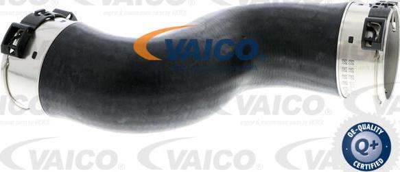 VAICO V30-2689 - Трубка, нагнетание воздуха autodnr.net