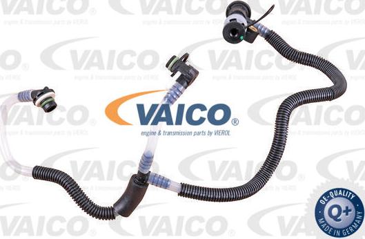 VAICO V30-3081 - Топливопровод autodnr.net
