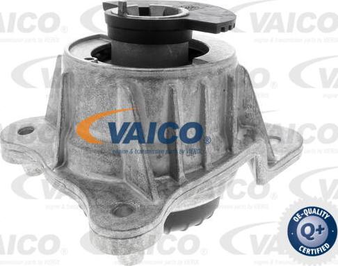 VAICO V30-3090 - Подушка, опора, подвеска двигателя avtokuzovplus.com.ua
