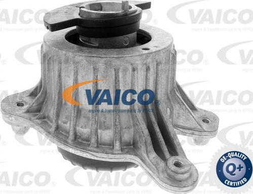 VAICO V30-3094 - Подушка, опора, подвеска двигателя autodnr.net