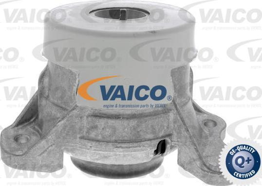 VAICO V30-3095 - Подушка, опора, подвеска двигателя avtokuzovplus.com.ua