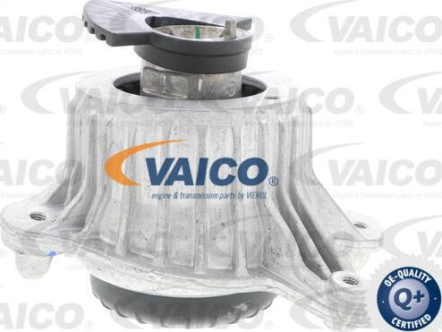VAICO V30-3098 - Подушка, опора, подвеска двигателя avtokuzovplus.com.ua