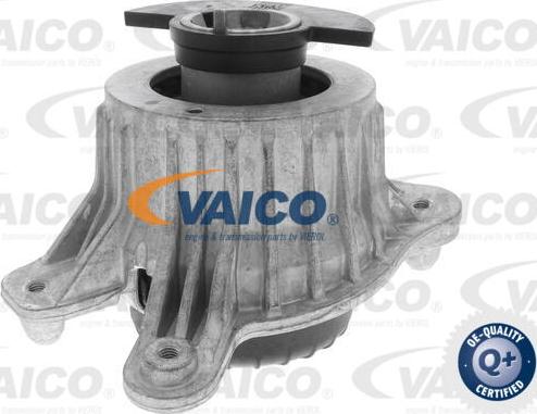 VAICO V30-3099 - Подушка, підвіска двигуна autocars.com.ua