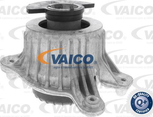 VAICO V30-3100 - Подушка, підвіска двигуна autocars.com.ua