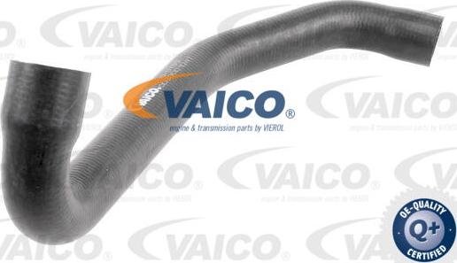 VAICO V30-3139 - Шланг радиатора avtokuzovplus.com.ua