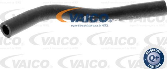 VAICO V30-3146 - Шланг радіатора autocars.com.ua