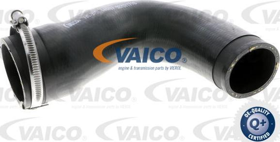 VAICO V30-3151 - Трубка, нагнетание воздуха autodnr.net
