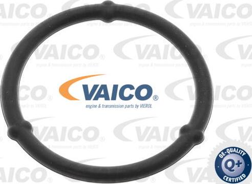 VAICO V30-3183 - Прокладка, масляна ванна autocars.com.ua