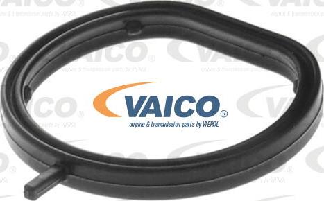 VAICO V30-3679 - З'єднувальний патрубок, провід охолоджуючої рідини autocars.com.ua