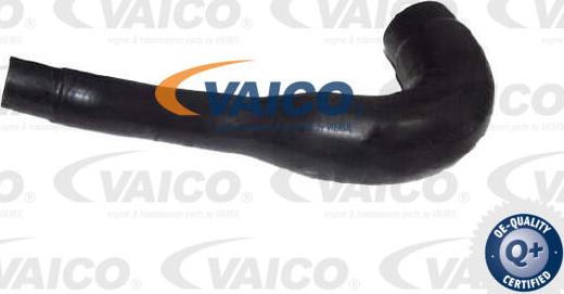 VAICO V30-4260 - Шланг радіатора autocars.com.ua