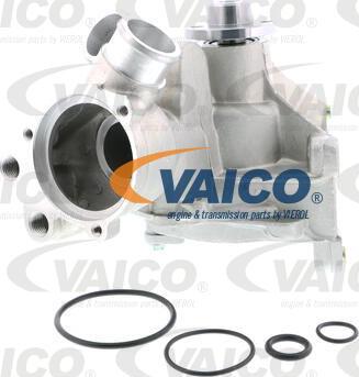 VAICO V30-50079 - Водяной насос avtokuzovplus.com.ua