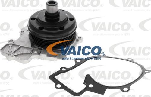 VAICO V30-50096 - Водяной насос avtokuzovplus.com.ua