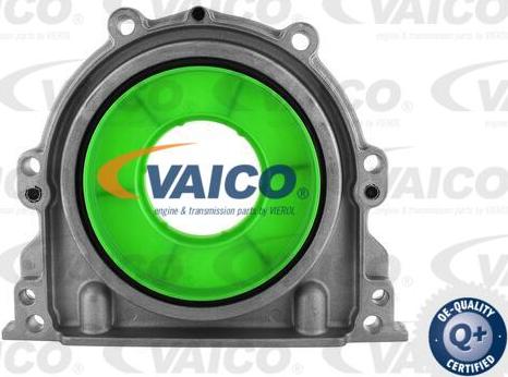 VAICO V30-6142 - Уплотняющее кольцо, коленчатый вал autodnr.net