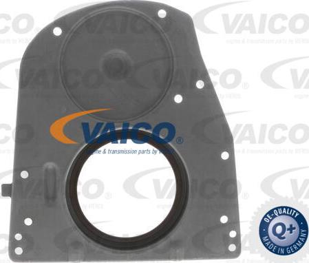 VAICO V30-6143 - Уплотняющее кольцо, коленчатый вал autodnr.net