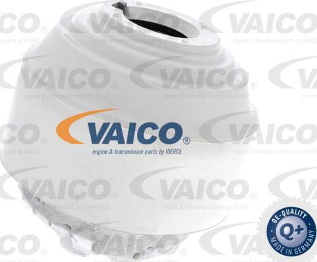 VAICO V30-8191 - Подушка, підвіска двигуна autocars.com.ua