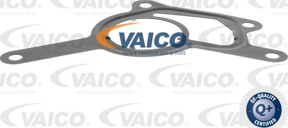 VAICO V30-8355 - Вакуумний насос, гальмівна система autocars.com.ua