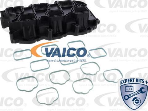 VAICO V33-0558 - Модуль впускний труби autocars.com.ua