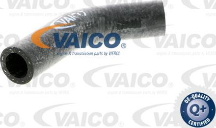 VAICO V40-0367 - Шланг радіатора autocars.com.ua
