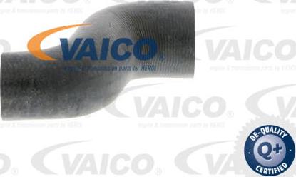 VAICO V40-0370 - Шланг радіатора autocars.com.ua