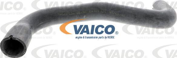 VAICO V40-1160 - Шланг радіатора autocars.com.ua
