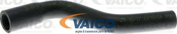 VAICO V40-1177 - Шланг, воздухоотвод крышки головки цилиндра avtokuzovplus.com.ua