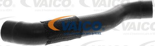 VAICO V40-1305 - Шланг радіатора autocars.com.ua