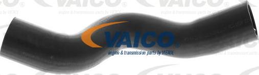 VAICO V40-1323 - Шланг радіатора autocars.com.ua