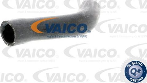 VAICO V40-1334 - Шланг радиатора autodnr.net