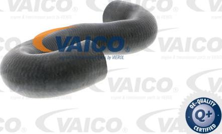 VAICO V40-1336 - Шланг радіатора autocars.com.ua