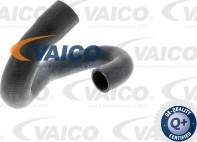 VAICO V40-1339 - Шланг радиатора autodnr.net