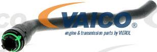 VAICO V40-1352 - Шланг радиатора autodnr.net