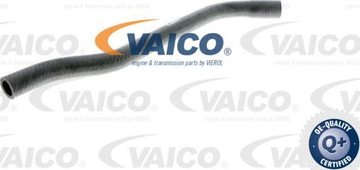 VAICO V40-1354 - Шланг радіатора autocars.com.ua