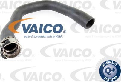 VAICO V40-1360 - Трубка, нагнетание воздуха autodnr.net