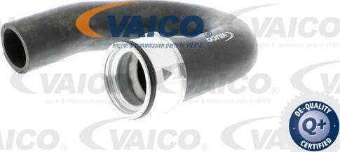 VAICO V40-1363 - Трубка нагнітається повітря autocars.com.ua