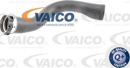 VAICO V40-1364 - Трубка нагнітається повітря autocars.com.ua