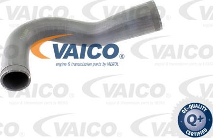 VAICO V40-1365 - Трубка нагнітається повітря autocars.com.ua