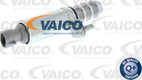 VAICO V40-1424 - Регулирующий клапан, выставление распределительного вала avtokuzovplus.com.ua