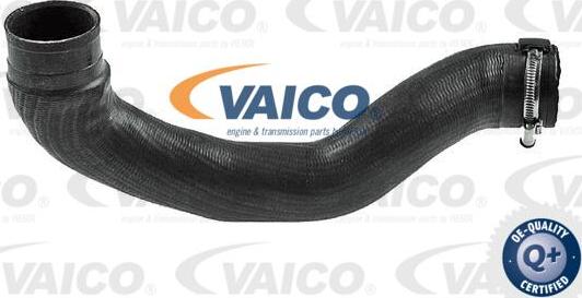 VAICO V40-1495 - Трубка нагнітається повітря autocars.com.ua