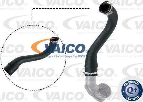 VAICO V40-1498 - Трубка, нагнетание воздуха autodnr.net