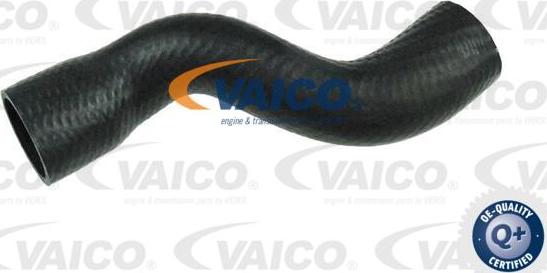 VAICO V40-1502 - Трубка нагнітається повітря autocars.com.ua