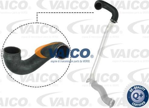 VAICO V40-1512 - Трубка нагнітається повітря autocars.com.ua