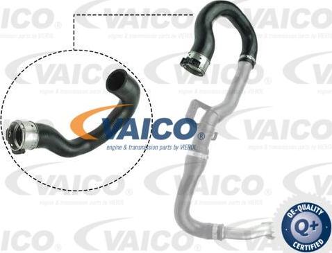 VAICO V40-1516 - Трубка нагнітається повітря autocars.com.ua