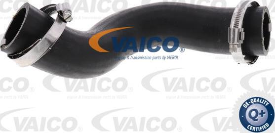 VAICO V40-1521 - Трубка нагнітається повітря autocars.com.ua